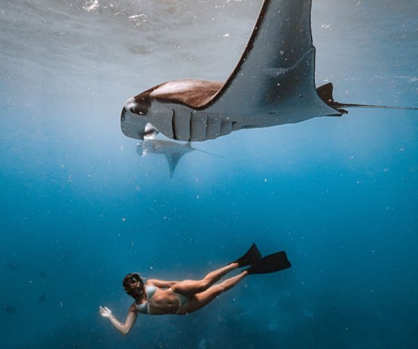 11b03c1b-36af-470b-8ff2-512b17542737