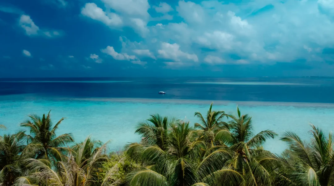 DJI_0056